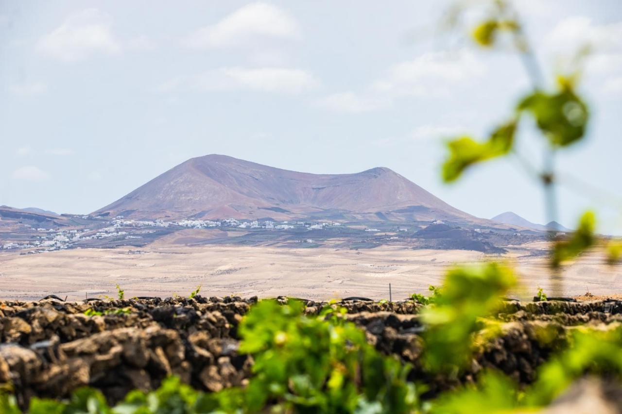 Eslanzarote Eco Dome Experience Hotel Тегисе Екстериор снимка
