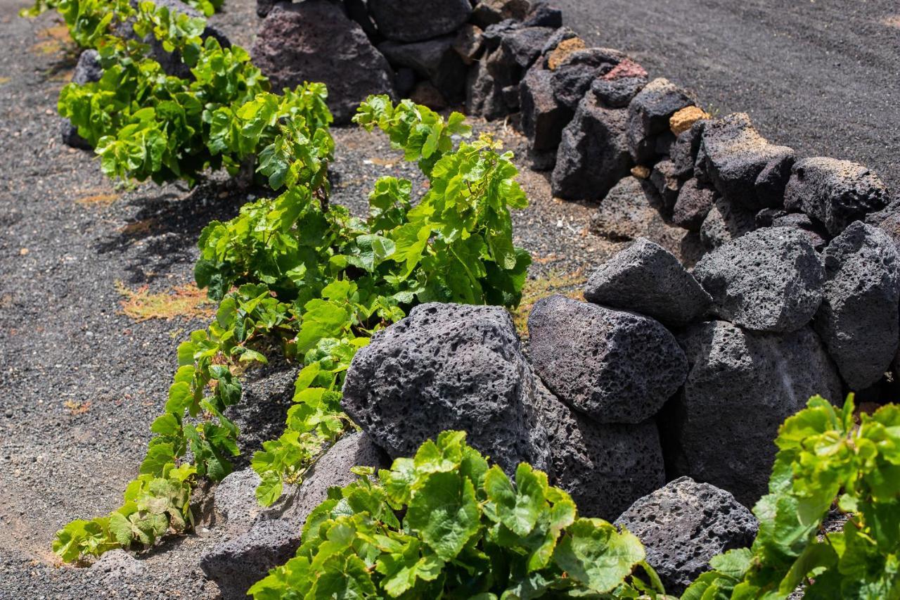 Eslanzarote Eco Dome Experience Hotel Тегисе Екстериор снимка